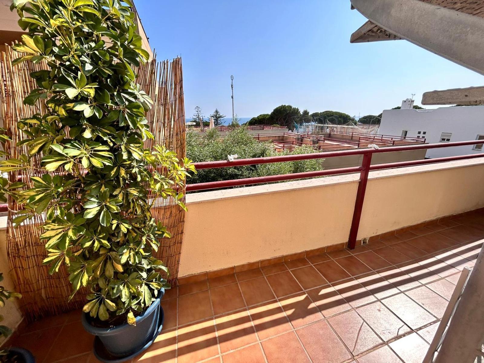 Apartamentos vacacionales Caños de Meca Los Caños de Meca